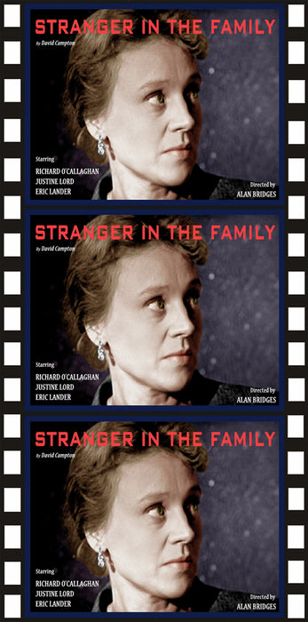 Stranger in the Family (MOD) (DVD MOVIE)