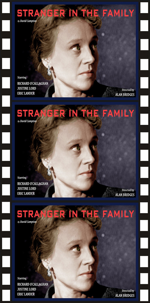 Stranger in the Family (MOD) (DVD MOVIE)