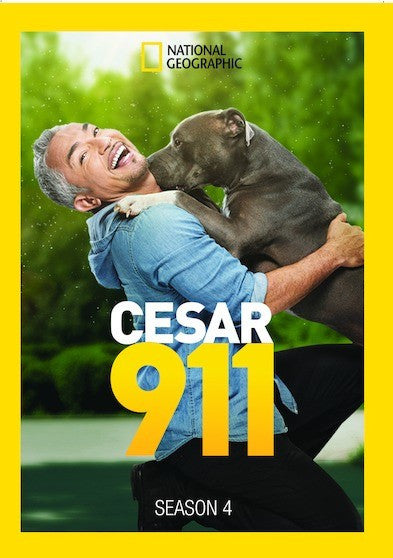 Cesar 911 Season 4 (MOD) (DVD Movie)