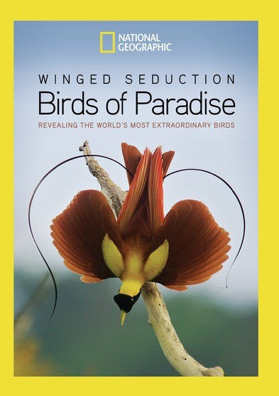 Winged Seduction: Birds Of Paradise (MOD) (DVD Movie)