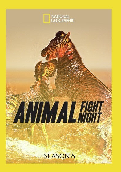 Animal Fight Night: Season 6 (MOD) (DVD Movie)