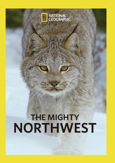 The Mighty Northwest (MOD) (DVD Movie)