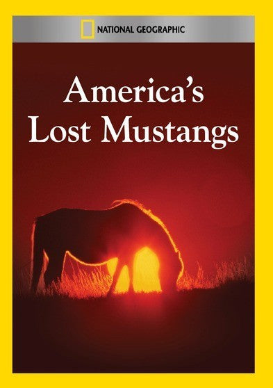 America's Lost Mustangs (MOD) (DVD Movie)