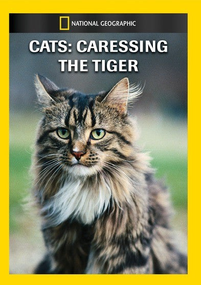 Cats - Caressing The Tiger (MOD) (DVD Movie)