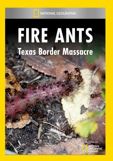 Fire Ants - Texas Border Mas (MOD) (DVD Movie)