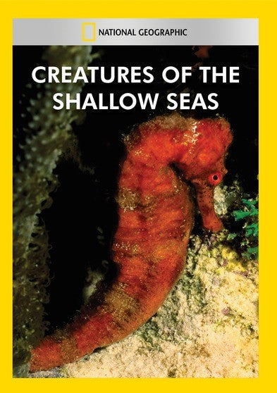 Creatures of the Shallow Seas (MOD) (DVD Movie)