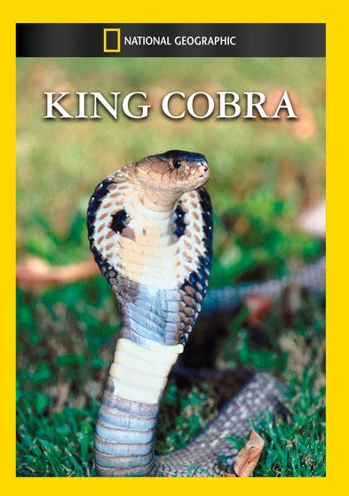 King Cobra (MOD) (DVD Movie)