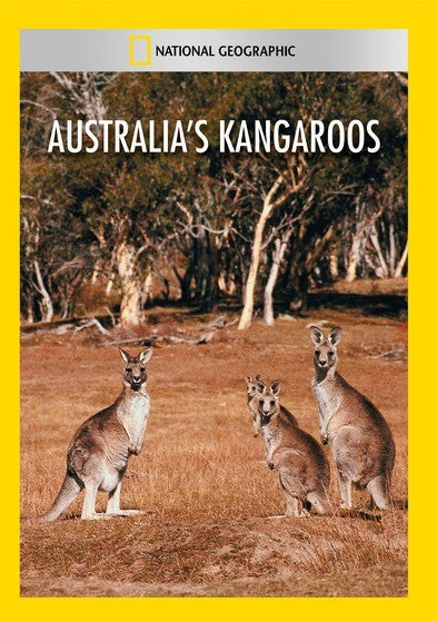 Australias Kangaroos (MOD) (DVD Movie)