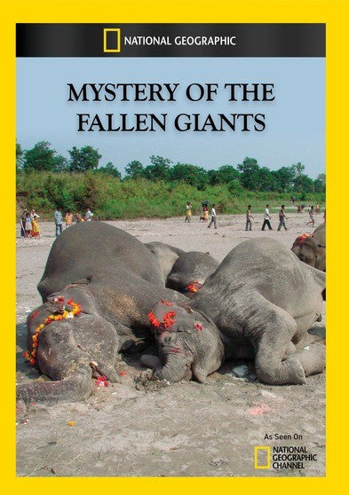 Mystery Of The Fallen Giants