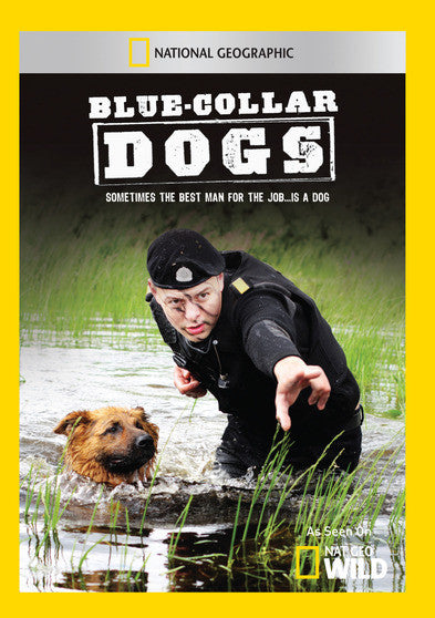 Blue Collar Dogs (MOD) (DVD Movie)