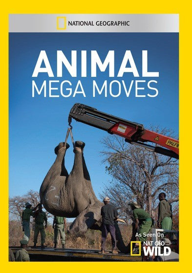 Animal Mega Moves (2 Discs) (MOD) (DVD Movie)