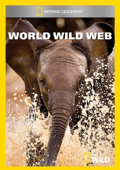 World Wild Web (MOD) (DVD Movie)