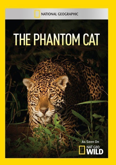 The Phantom Cat (MOD) (DVD Movie)