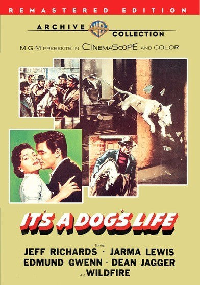 It's A Dog's Life (MOD) (DVD Movie)