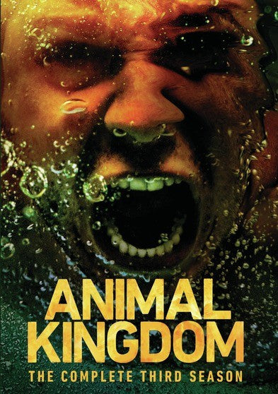 Animal Kingdom: The Complete Third Season (MOD) (DVD Movie)